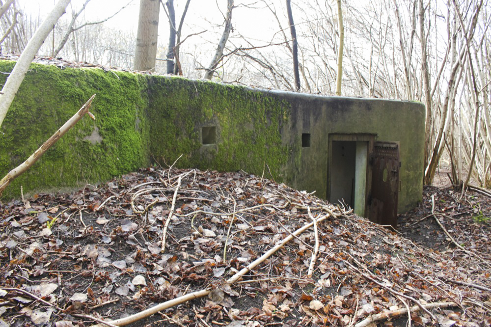 Ligne Maginot - RAMELSHAUSEN 1 (Blockhaus pour arme infanterie) - 