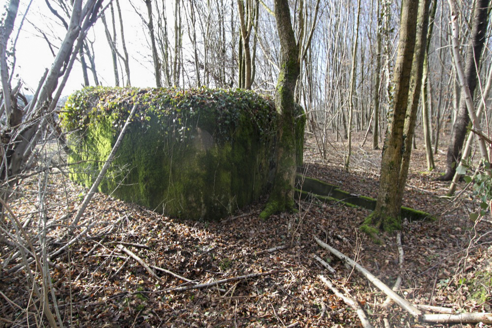 Ligne Maginot - RAMELSHAUSEN 4 (Blockhaus pour arme infanterie) - Vue générale - Les Gardiens du Rhin