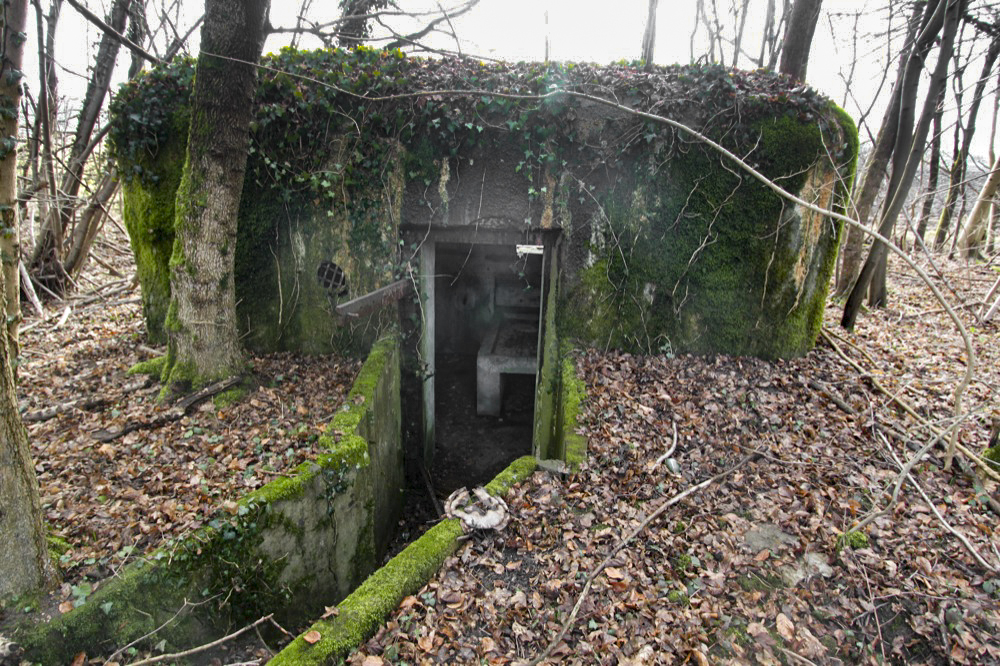 Ligne Maginot - RAMELSHAUSEN 4 (Blockhaus pour arme infanterie) - Vue générale - Les Gardiens du Rhin