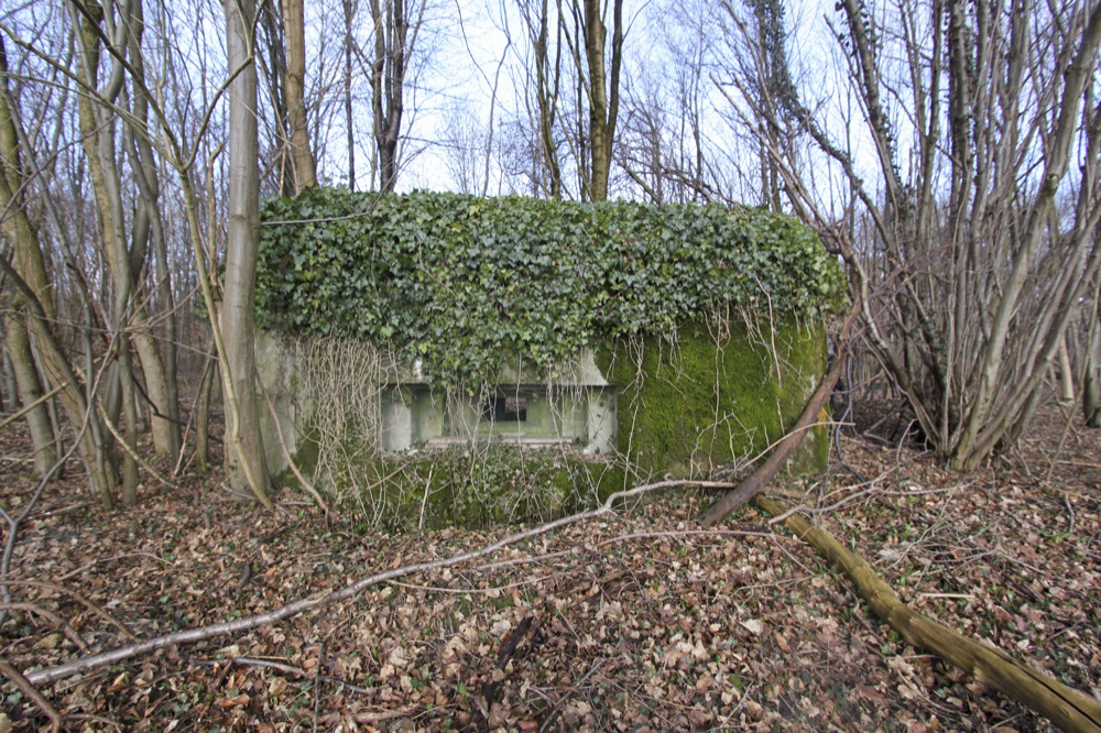 Ligne Maginot - RAMELSHAUSEN 4 (Blockhaus pour arme infanterie) -  - Les Gardiens du Rhin