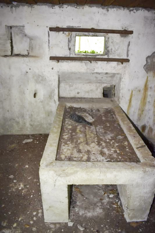 Ligne Maginot - RAMELSHAUSEN 4 (Blockhaus pour arme infanterie) - Chambre de tir mitrailleuse - D. Froehly