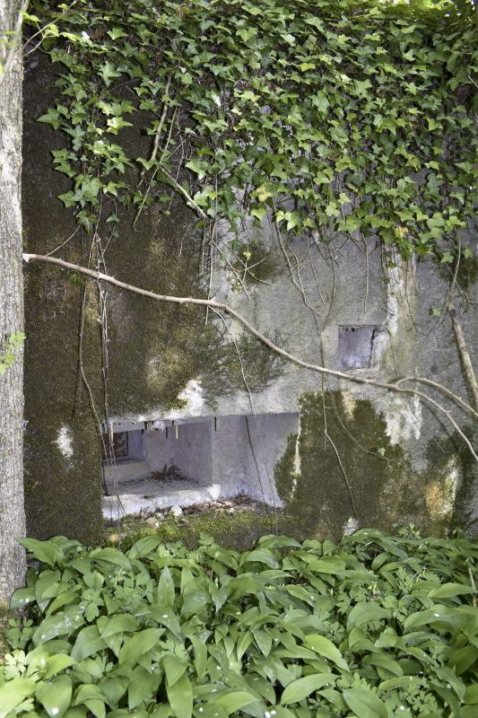 Ligne Maginot - RAMELSHAUSEN 4 (Blockhaus pour arme infanterie) - Le créneau de flanquement - D. Froehly