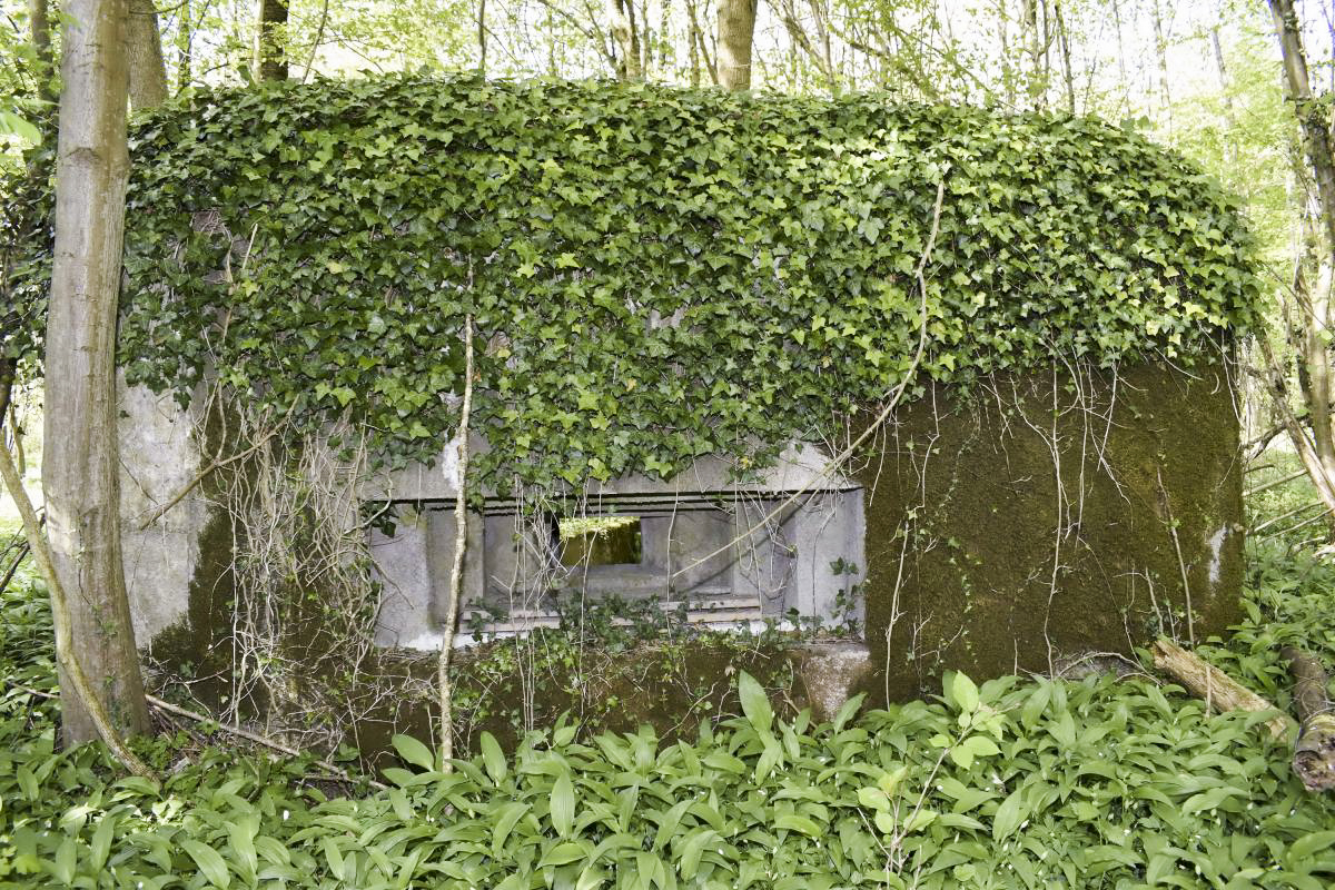 Ligne Maginot - RAMELSHAUSEN 4 (Blockhaus pour arme infanterie) - Le créneau mitrailleuse - D. Froehly