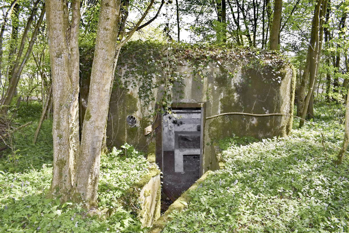 Ligne Maginot - RAMELSHAUSEN 4 (Blockhaus pour arme infanterie) - L'entrée - D. Froehly