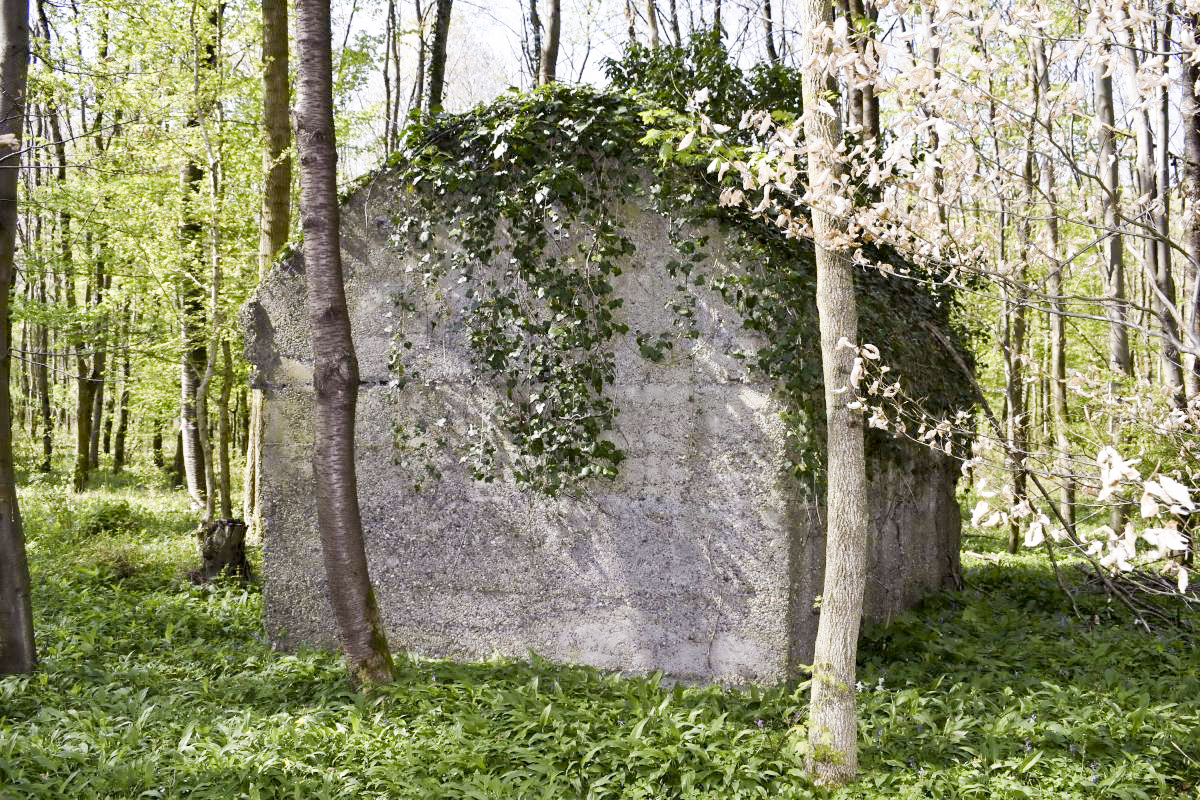 Ligne Maginot - RAMELSHAUSEN 5 (Abri) - Vue générale