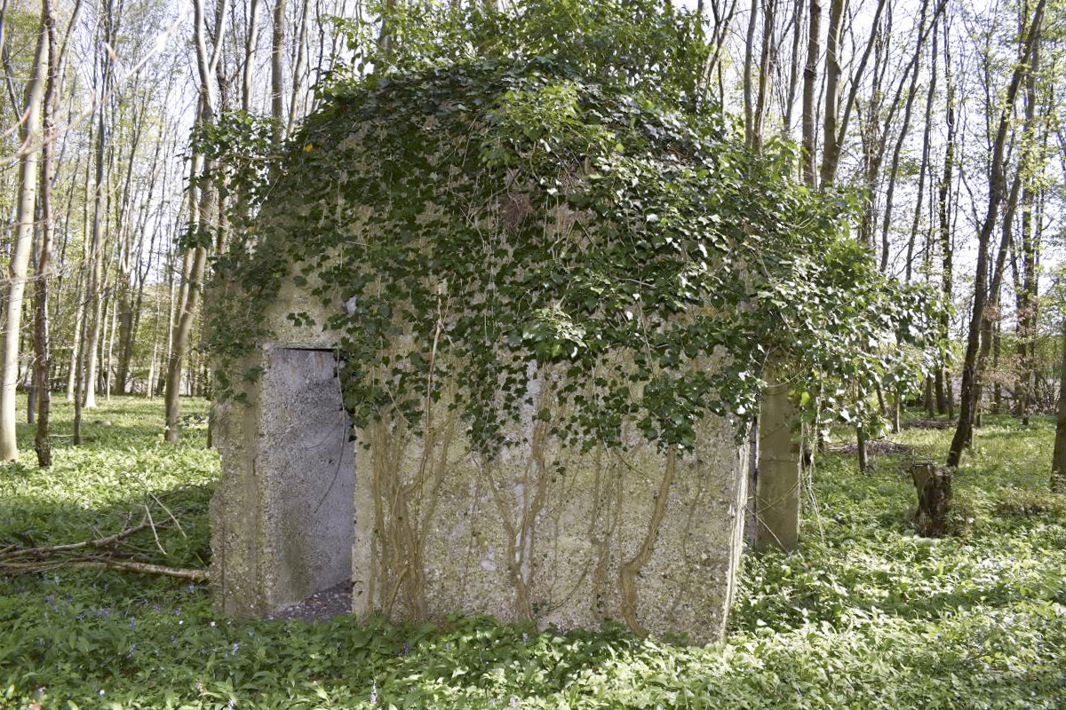 Ligne Maginot - RAMELSHAUSEN 5 (Abri) - Vue générale