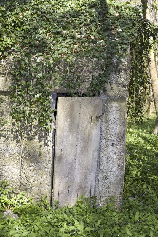 Ligne Maginot - RAMELSHAUSEN 5 (Abri) - Vue de la porte en béton