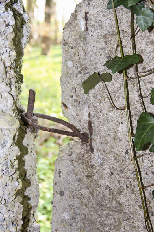 Ligne Maginot - RAMELSHAUSEN 5 (Abri) - Une charnière de la porte en béton subsistante.
Noter le caractère 'improvisé' du montage.