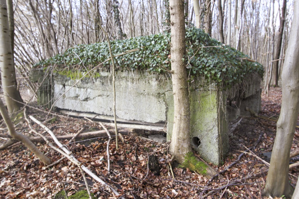 Ligne Maginot - Blockhaus de RAMELSHAUSEN 6 - Vue générale