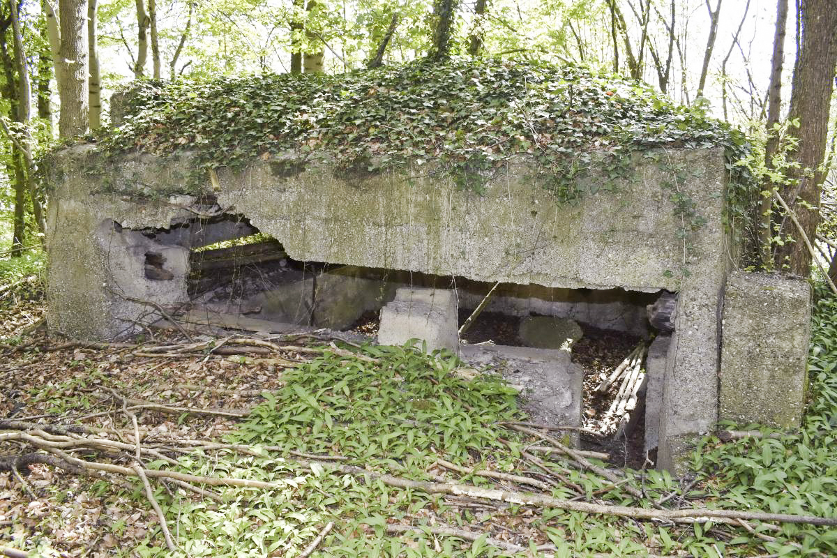Ligne Maginot - Blockhaus de Ramelshausen 6 - Vue extérieure