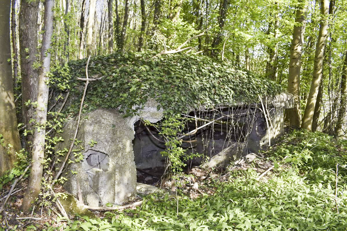 Ligne Maginot - Blockhaus de Ramelshausen 6 - Vue extérieure