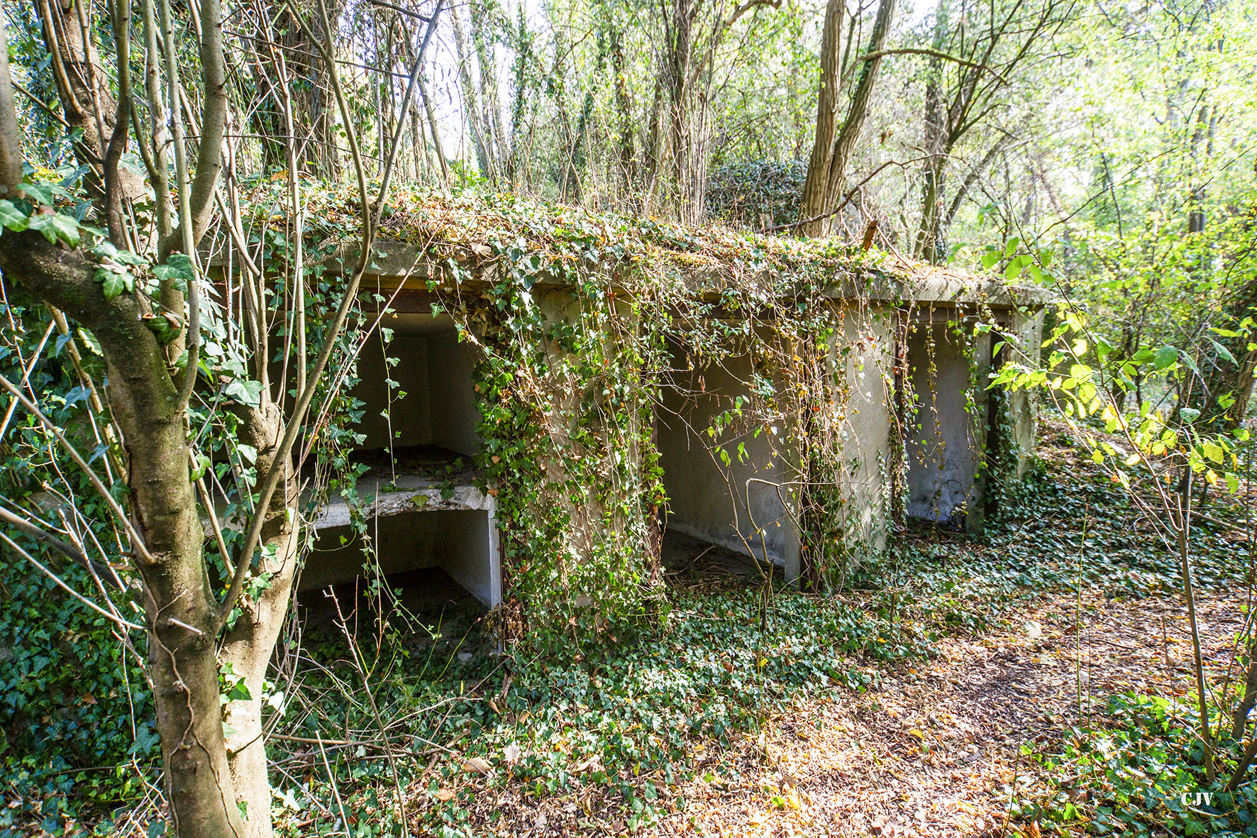 Ligne Maginot - ROUNTZENHEIM SUD - (Casemate d'infanterie) - Les niches pour les mines et barbelés