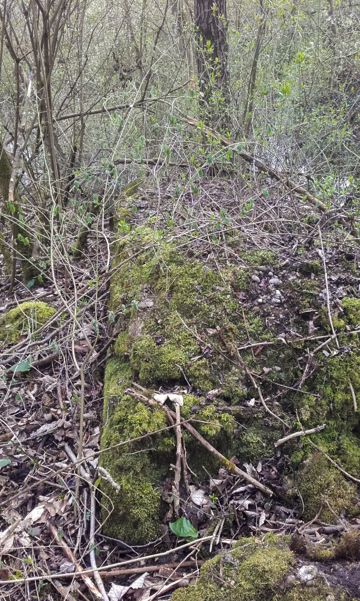 Ligne Maginot - ROUTE DE DALHUNDEN - (Blockhaus de type indéterminé) -  - Martz yannick