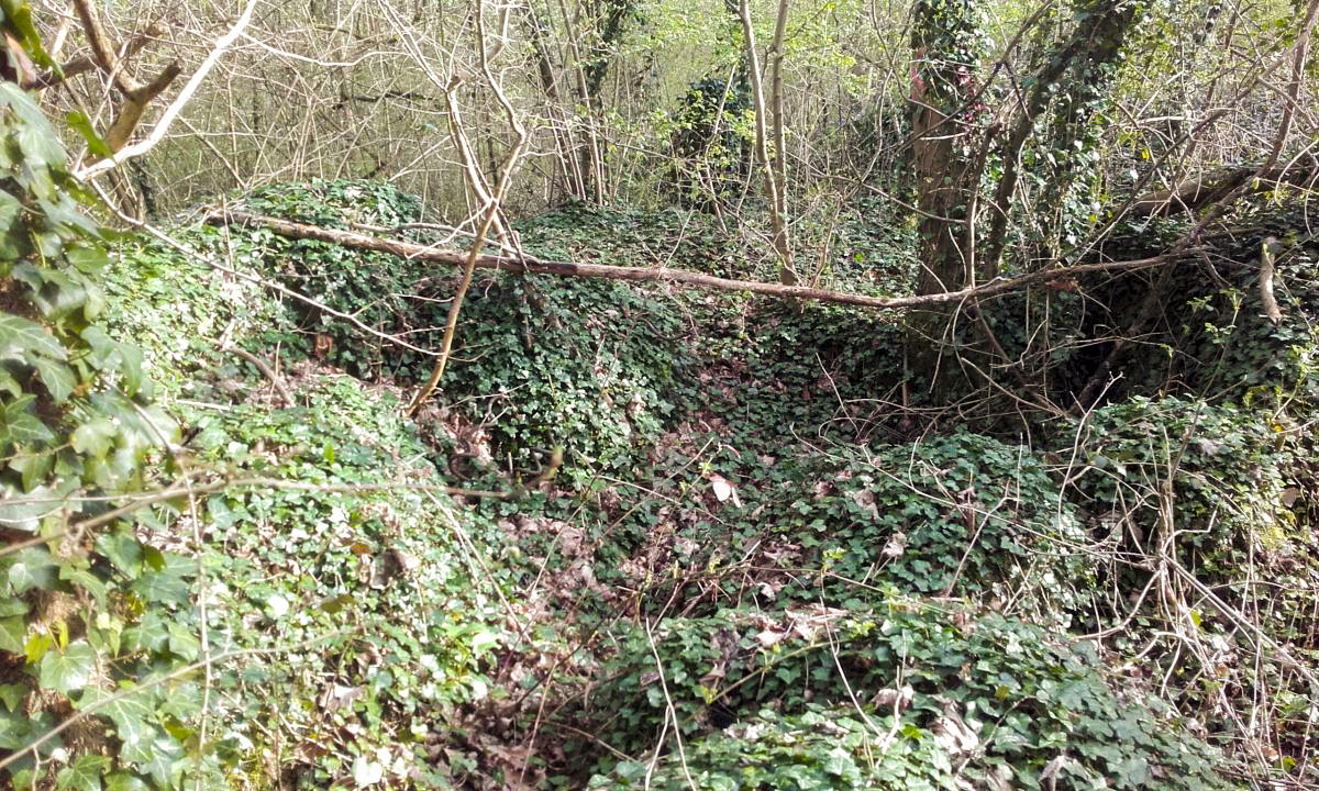Ligne Maginot - ROUTE DE DALHUNDEN - (Blockhaus de type indéterminé) - 