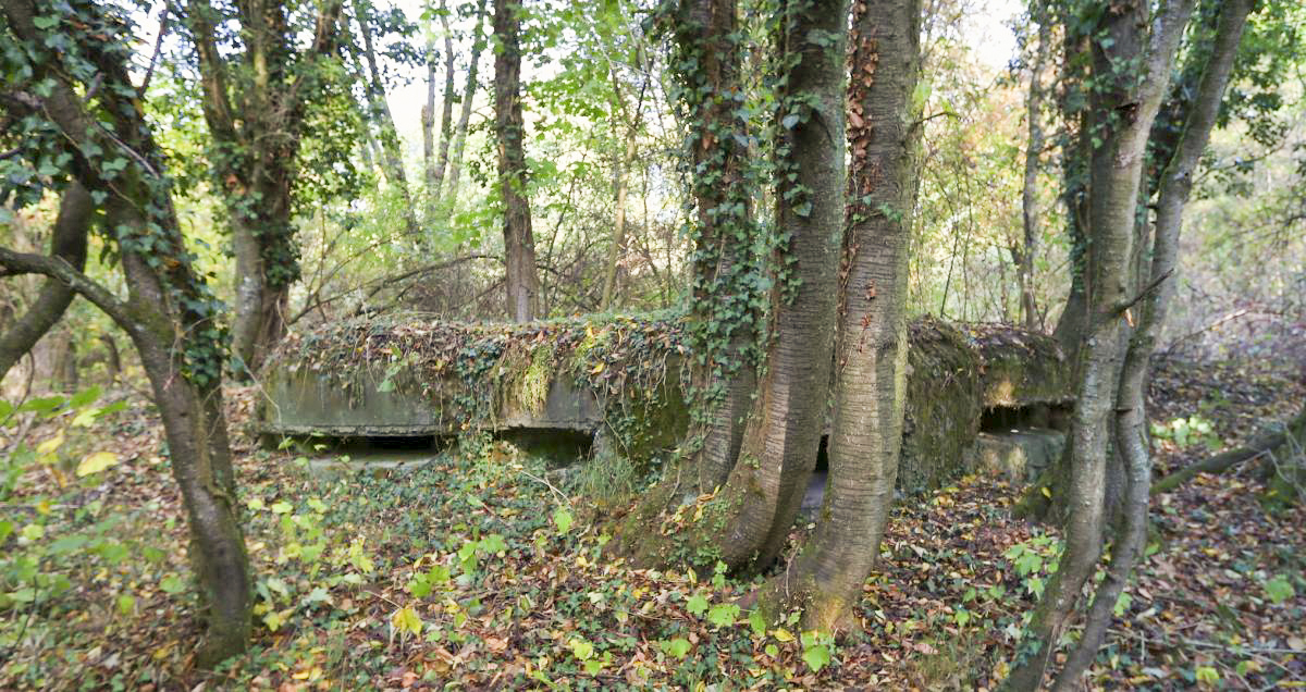 Ligne Maginot - SCHIRRHOFFEN 1 - (Blockhaus pour arme infanterie) - 