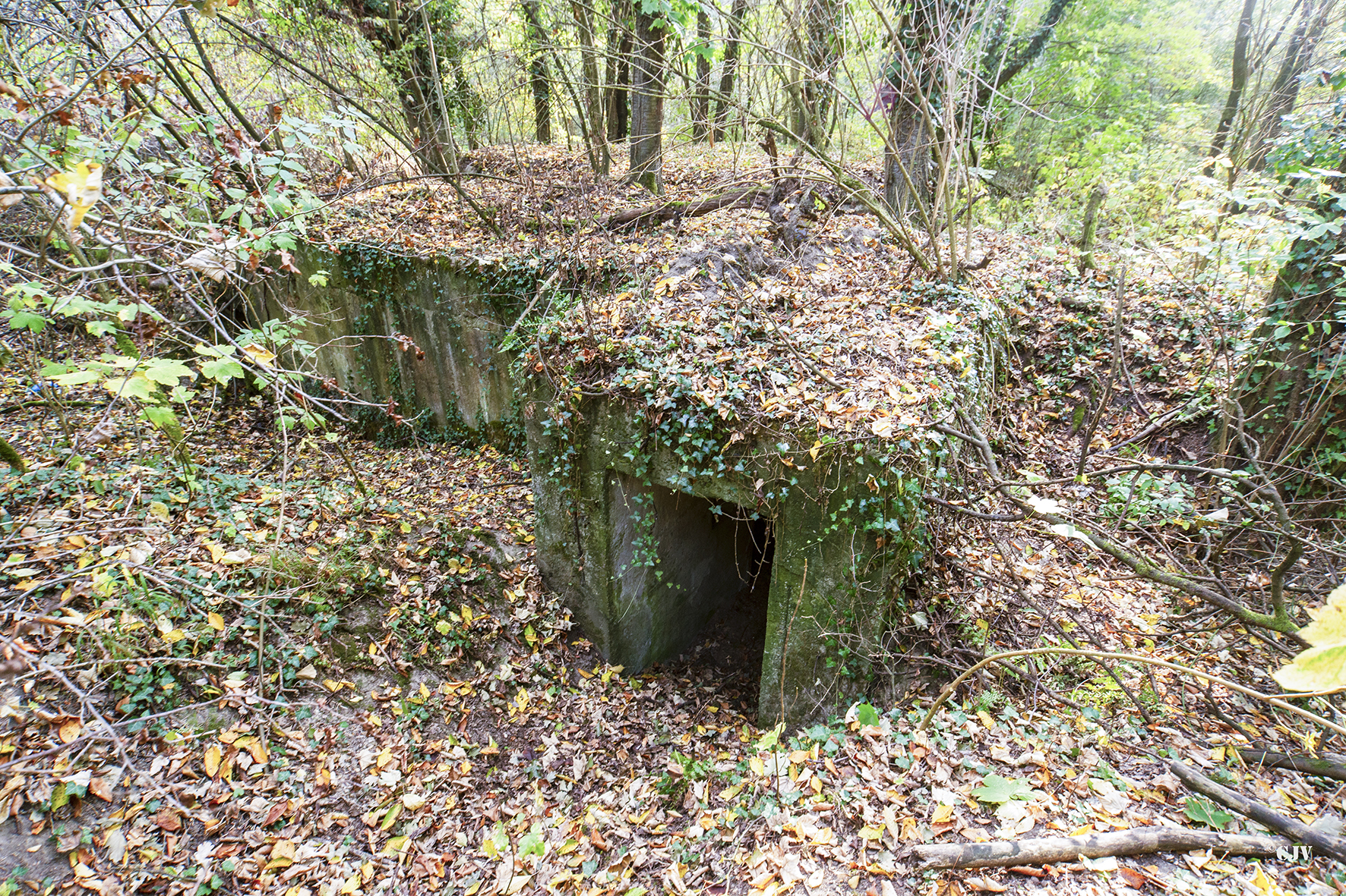 Ligne Maginot - SCHIRRHOFFEN 1 - (Blockhaus pour arme infanterie) - 