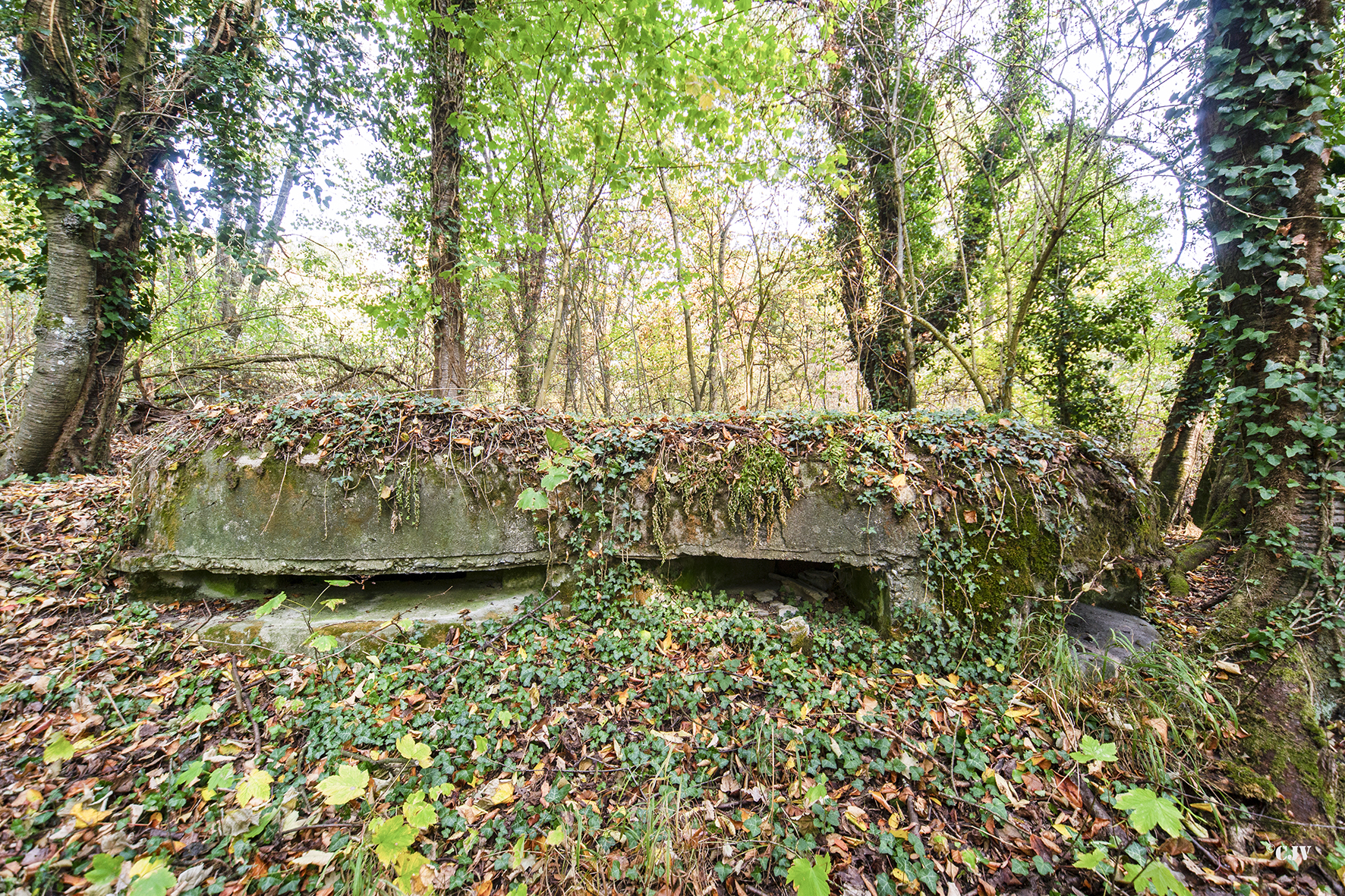 Ligne Maginot - SCHIRRHOFFEN 1 - (Blockhaus pour arme infanterie) - 