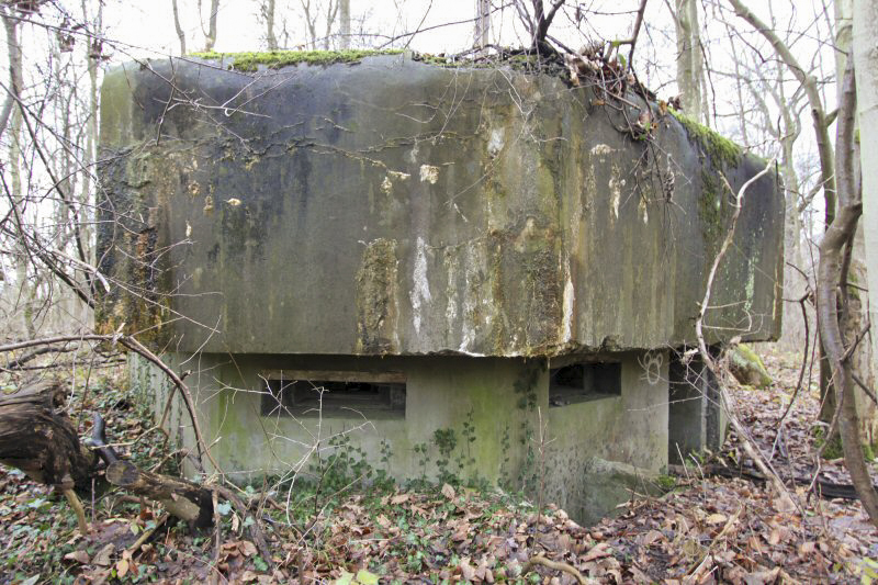 Ligne Maginot - 6 - SIEFFERTS KOEPFEL - (Blockhaus pour arme infanterie) -  - A. SCHOEN