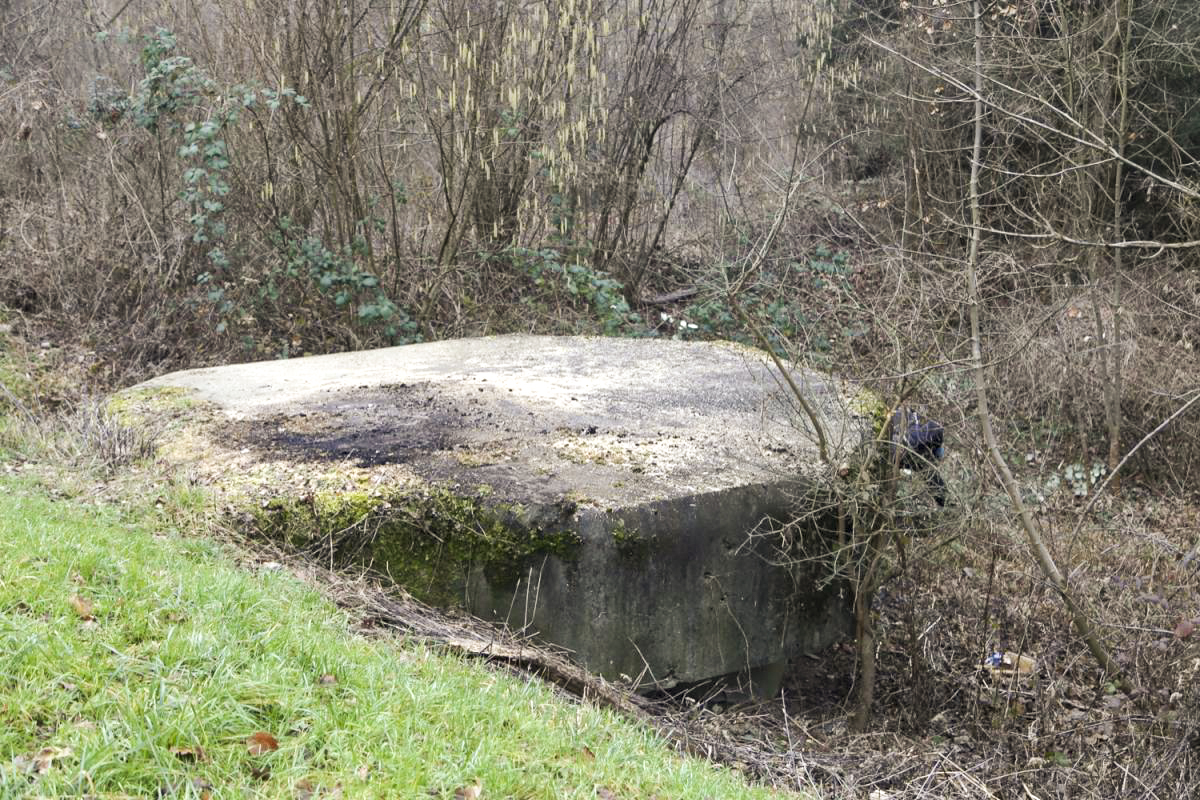 Ligne Maginot - 8 - WANTZENAU DIGUE 3 (Blockhaus pour arme infanterie) - 