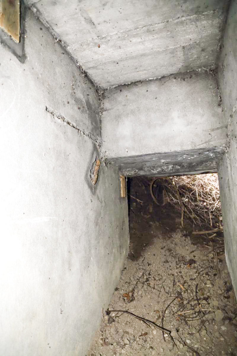 Ligne Maginot - 8 - WANTZENAU DIGUE 3 (Blockhaus pour arme infanterie) - 