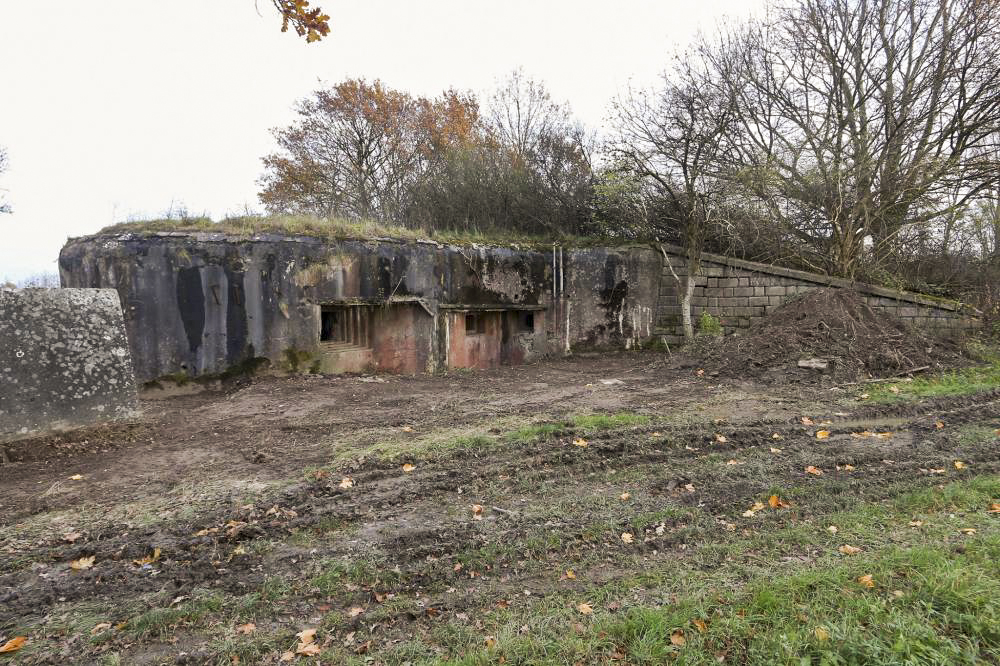 Ligne Maginot - 15/3 - MUEHLRHEIN (Casemate d'infanterie - double) - La façade sud - GRAMI