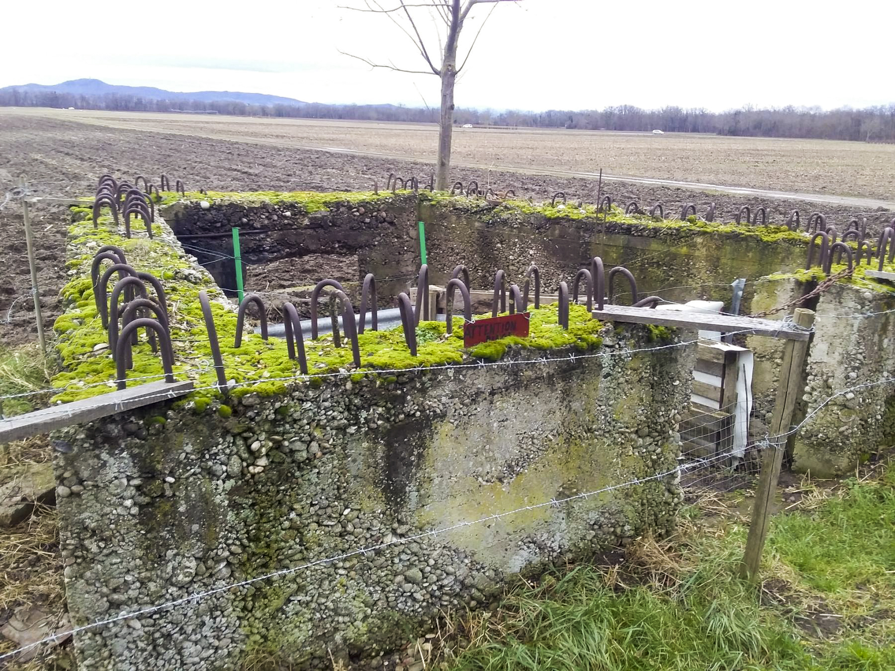 Ligne Maginot - STRAENGE - (Blockhaus pour canon) - 