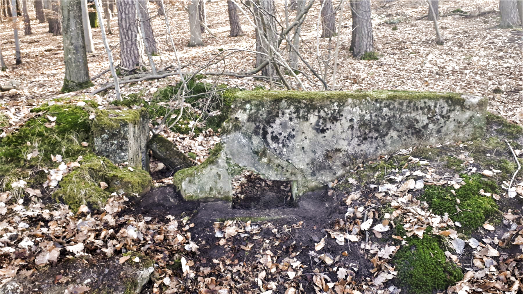 Ligne Maginot - HOCHWALD OUEST 4 - (Blockhaus pour arme infanterie) - A gauche le créneau d'observation, à droite le créneau de tir