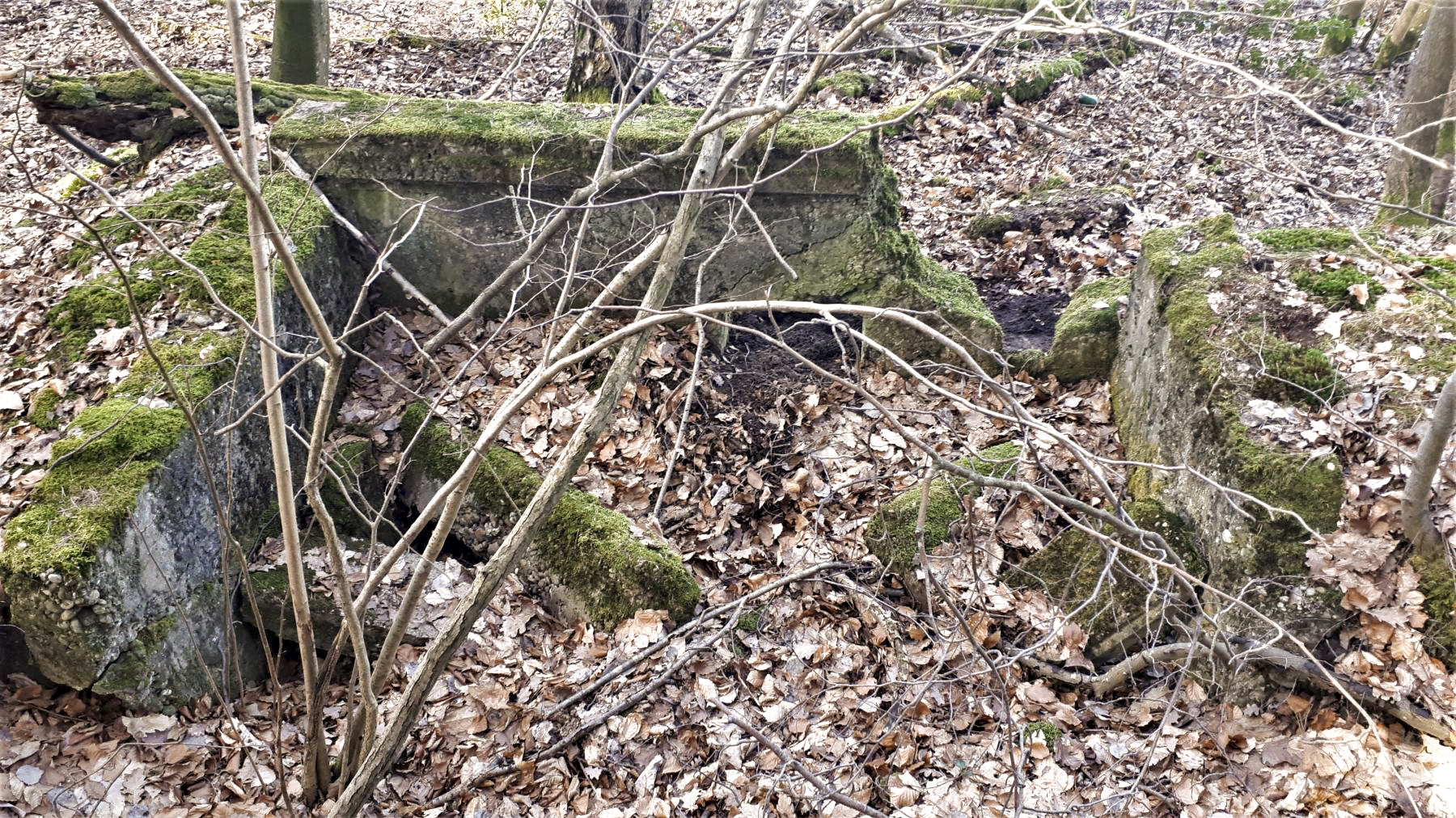 Ligne Maginot - HOCHWALD OUEST 4 - (Blockhaus pour arme infanterie) - 
