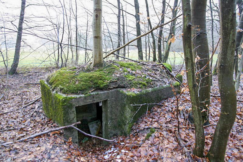 Ligne Maginot - HOCHWALD Ouest 5 ( Blockhaus pour arme infanterie ) - 