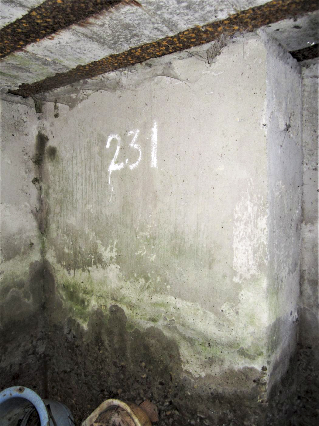 Ligne Maginot - HOCHWALD OUEST 5 - (Blockhaus pour arme infanterie) - Marquage '231'