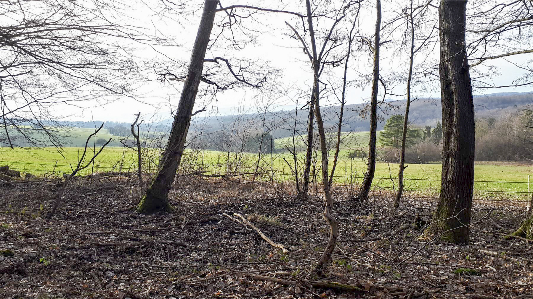 Ligne Maginot - HOCHWALD OUEST 5 - (Blockhaus pour arme infanterie) - Direction de tir du bloc