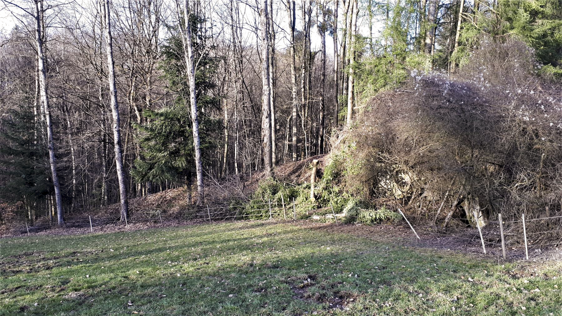 Ligne Maginot - SCHMELZBACH EST - (Casemate d'infanterie - double) - Vue coté chambre de tir Ouest, à la lisière, le remblais de protection