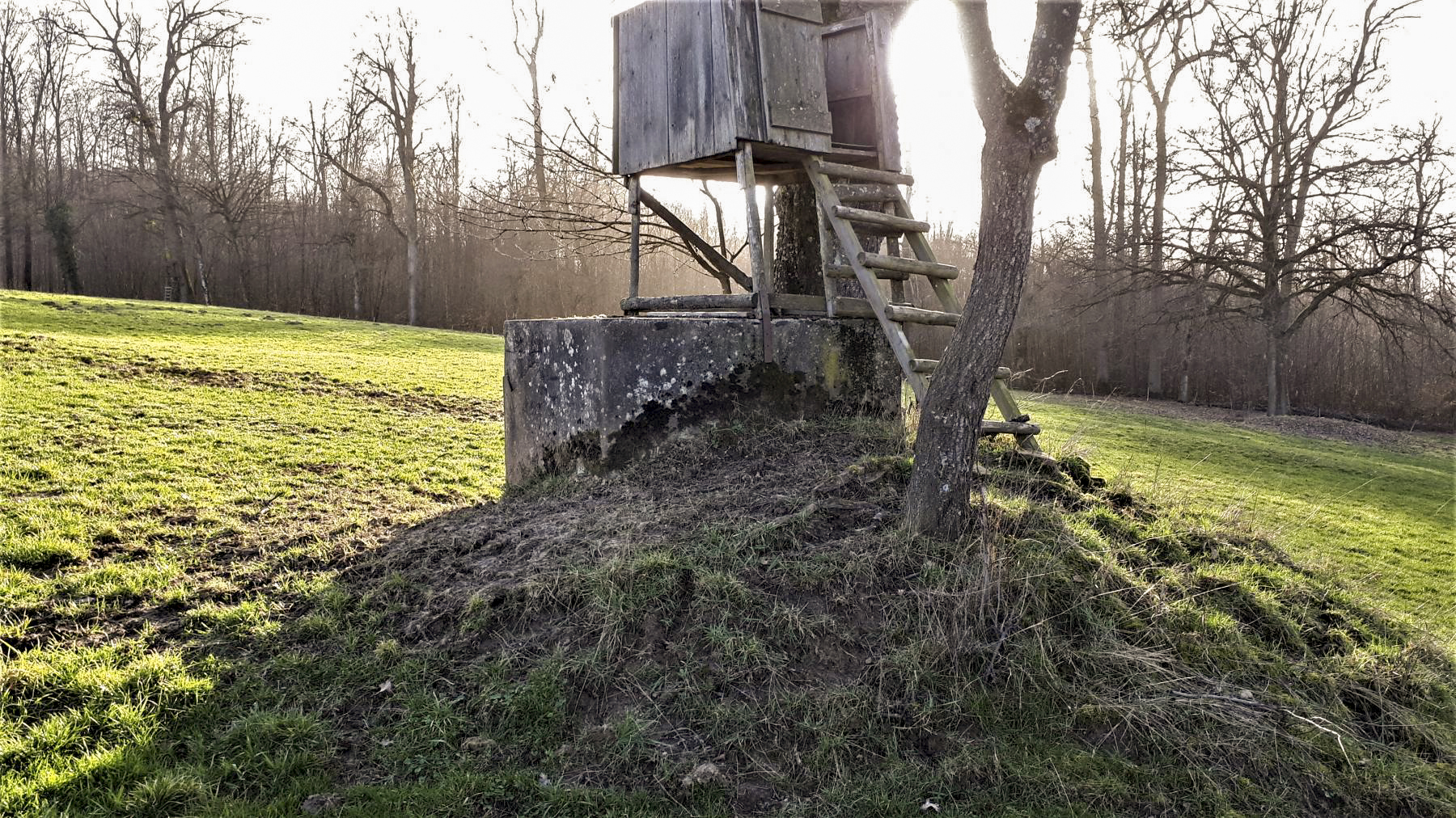 Ligne Maginot - SCHMELZBACH EST - (Casemate d'infanterie - double) - Niche à mines à proximité de la casemate