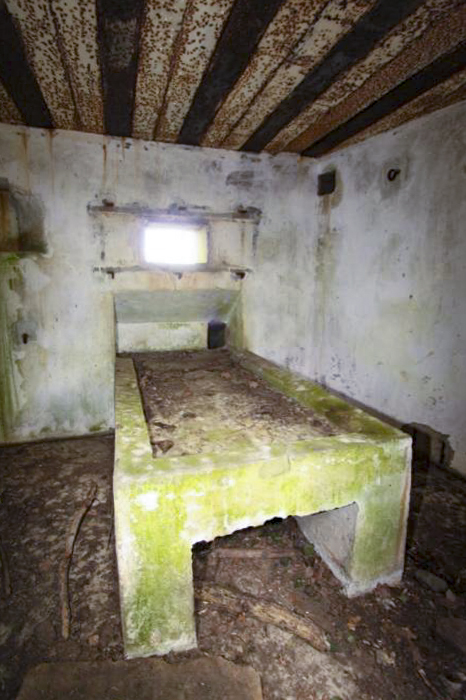 Ligne Maginot - BANGWOG Centre (Blockhaus pour arme infanterie) -  - Les Gardiens du Rhin