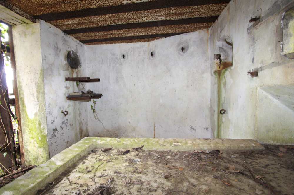 Ligne Maginot - BANGWOG Centre (Blockhaus pour arme infanterie) -  - Les Gardiens du Rhin