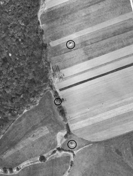 Ligne Maginot - BANGWOG Sud 2 - (Blockhaus pour arme infanterie) - 