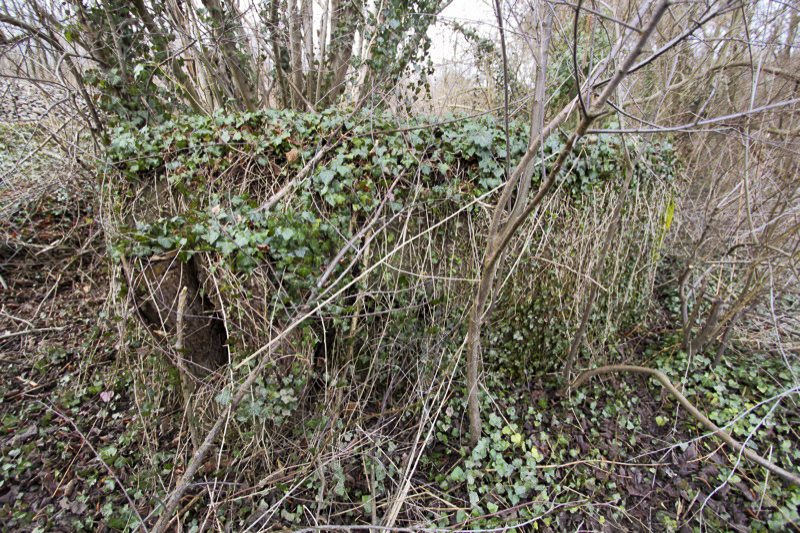 Ligne Maginot - BARRWALD Centre (Blockhaus pour arme infanterie) - Vue générale extérieure