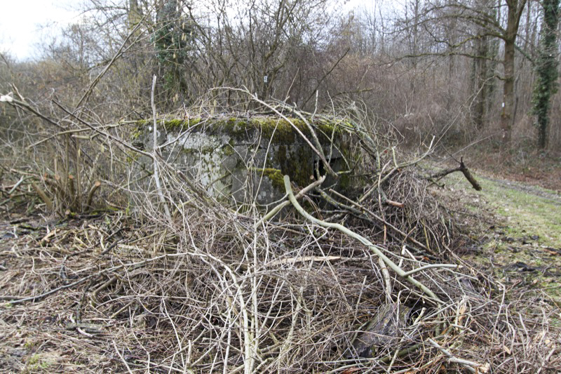 Ligne Maginot - BARRWALD Ouest (Blockhaus pour arme infanterie) -  - Les Gardiens du Rhin