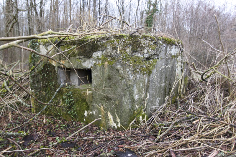 Ligne Maginot - BARRWALD Ouest (Blockhaus pour arme infanterie) -  - Les Gardiens du Rhin