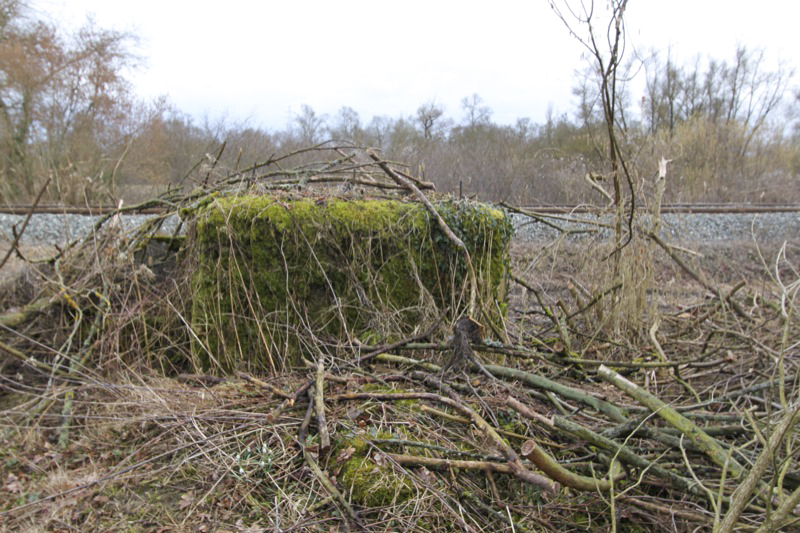 Ligne Maginot - BARRWALD Ouest (Blockhaus pour arme infanterie) -  - Antoine SCHOEN