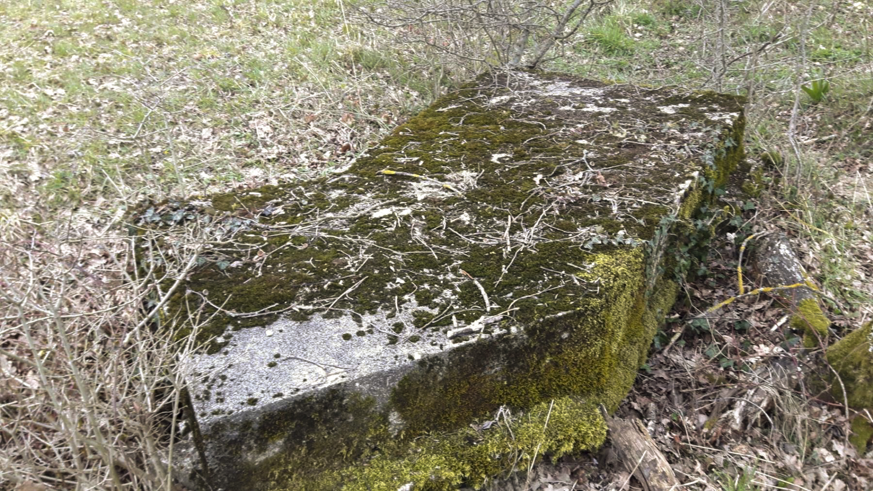 Ligne Maginot - GRILLY OUEST (4° BIE/II/9° RAD) - (Position d'artillerie préparée) - Alvéole à munitions