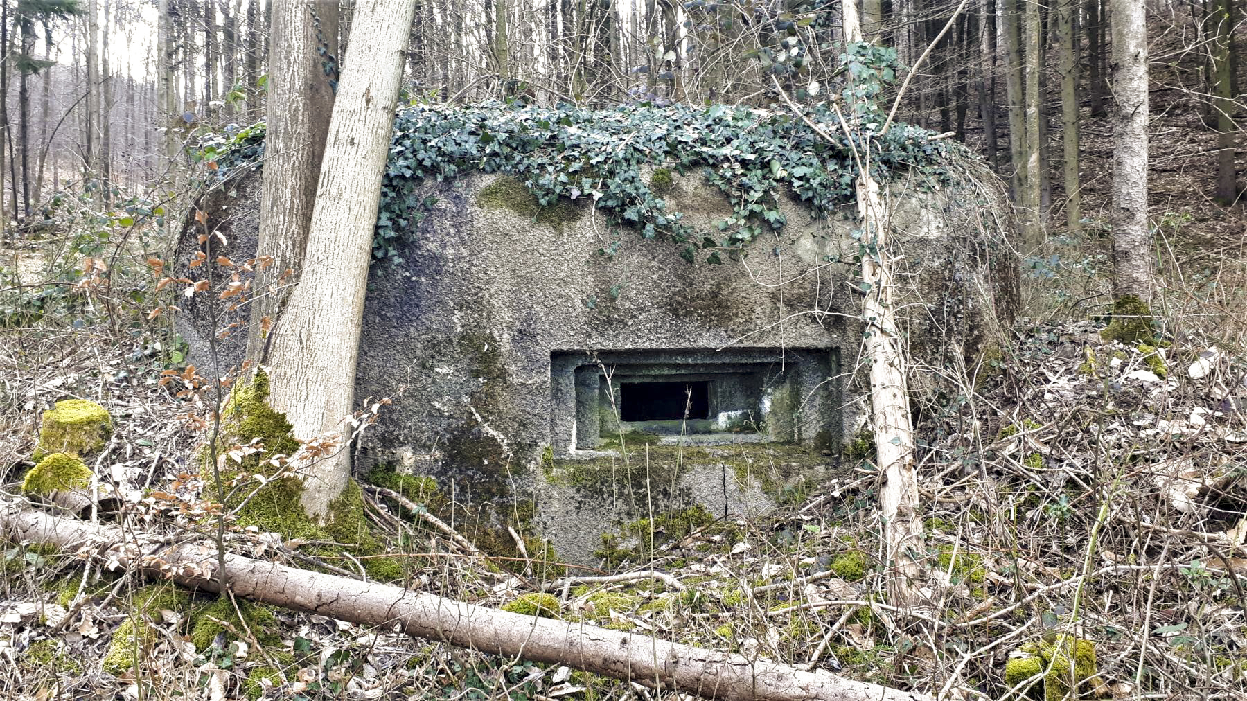 Ligne Maginot - PFAFFENBRONN 3 - (Blockhaus pour arme infanterie) - Le créneau pour mitrailleuse