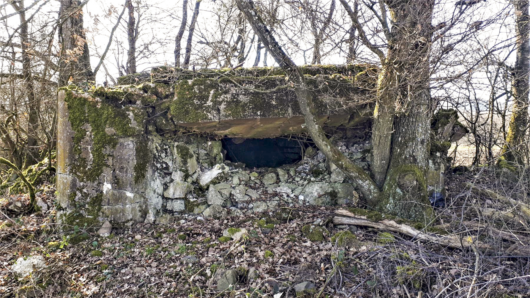 Ligne Maginot - SCHMELZBACH 7 - (Blockhaus pour arme infanterie) - Créneau