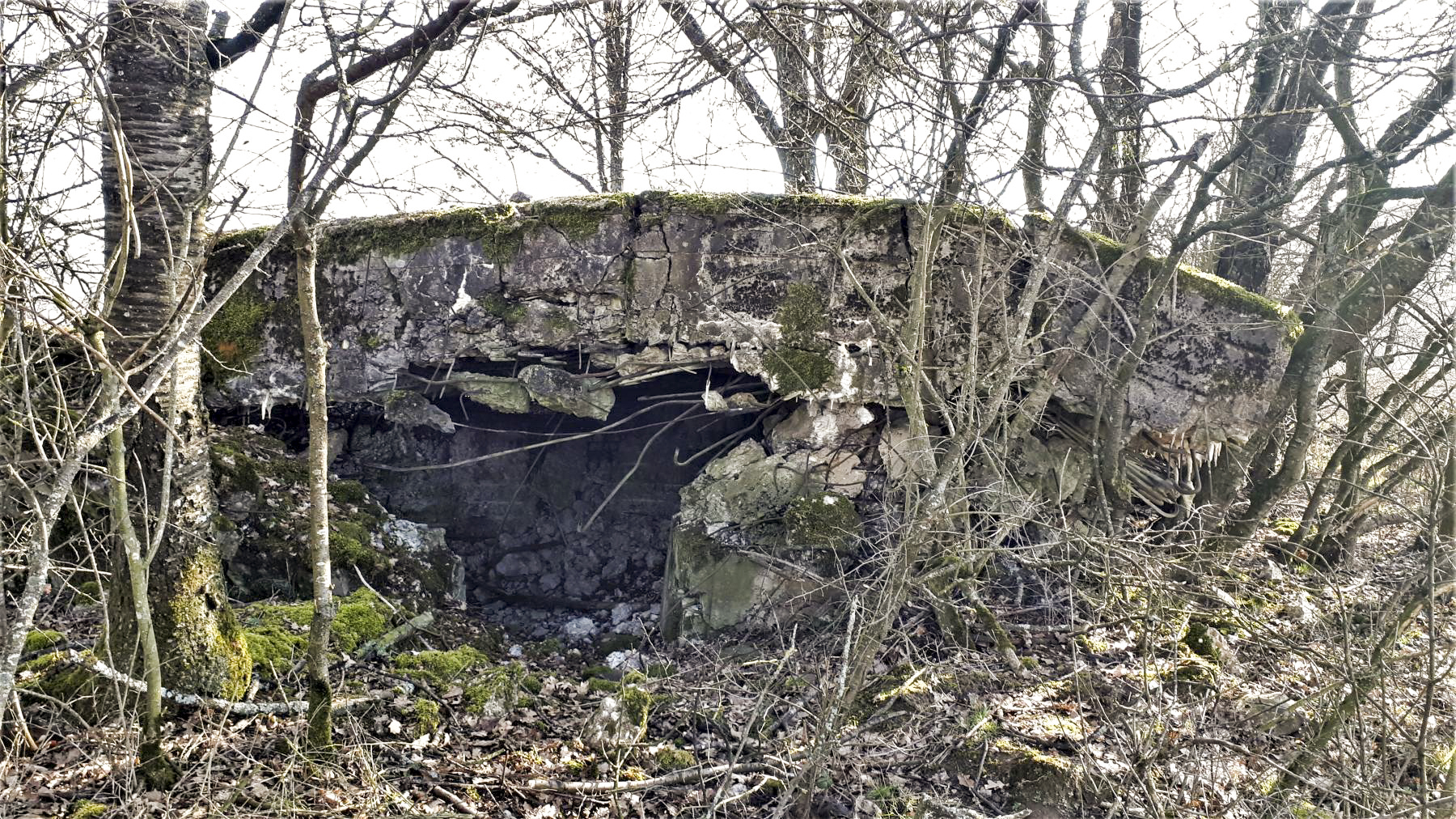 Ligne Maginot - SCHMELZBACH 7 - (Blockhaus pour arme infanterie) - Entrée