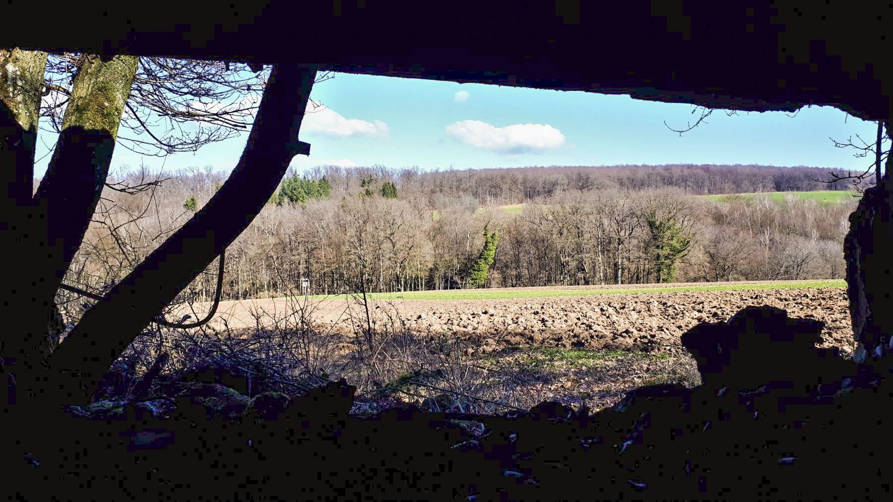 Ligne Maginot - SCHMELZBACH 7 - (Blockhaus pour arme infanterie) - Vue depuis le créneau