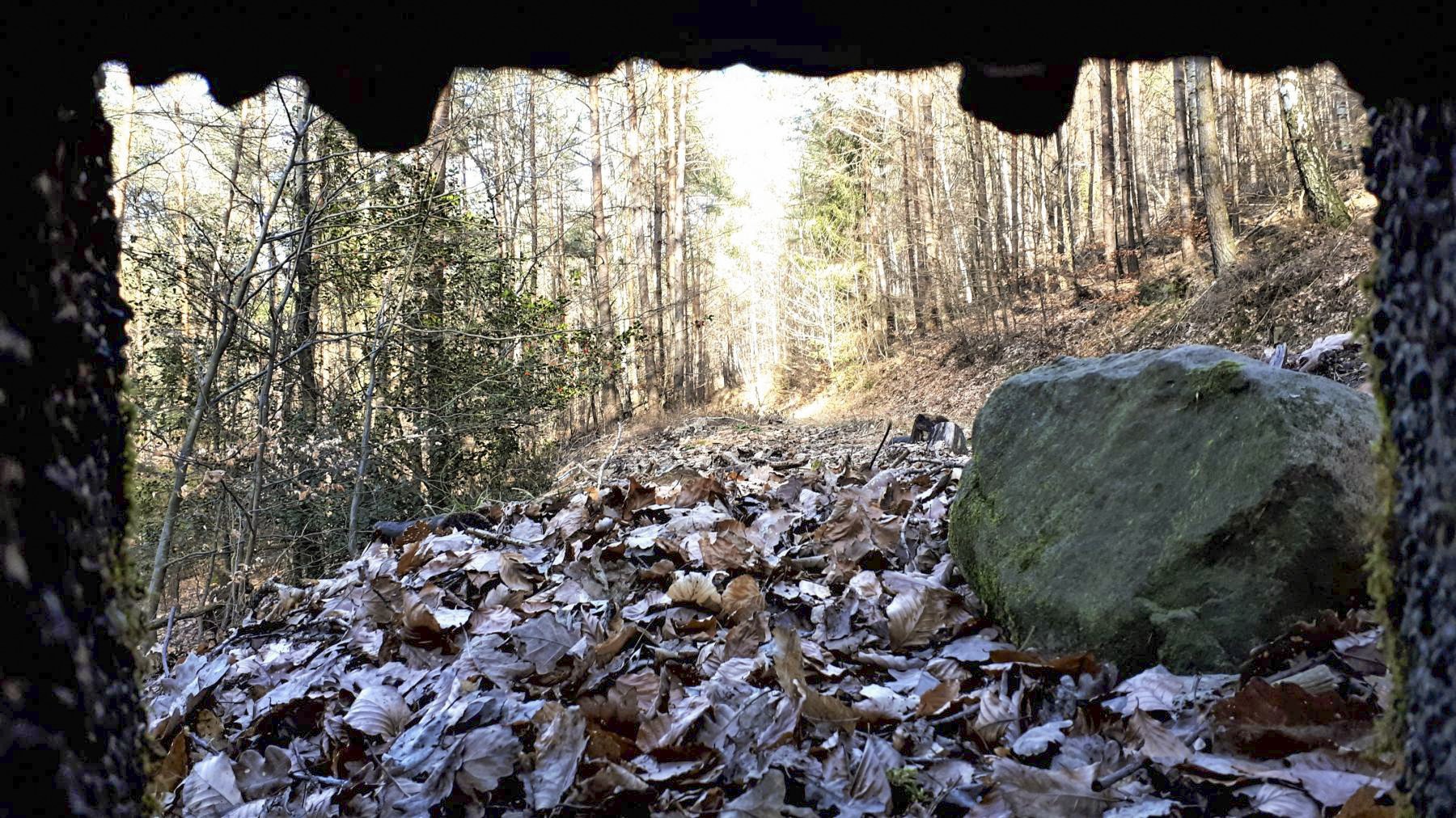 Ligne Maginot - PFAFFENBRONN 5 - (Blockhaus pour arme infanterie) - Vue depuis le créneau frontal