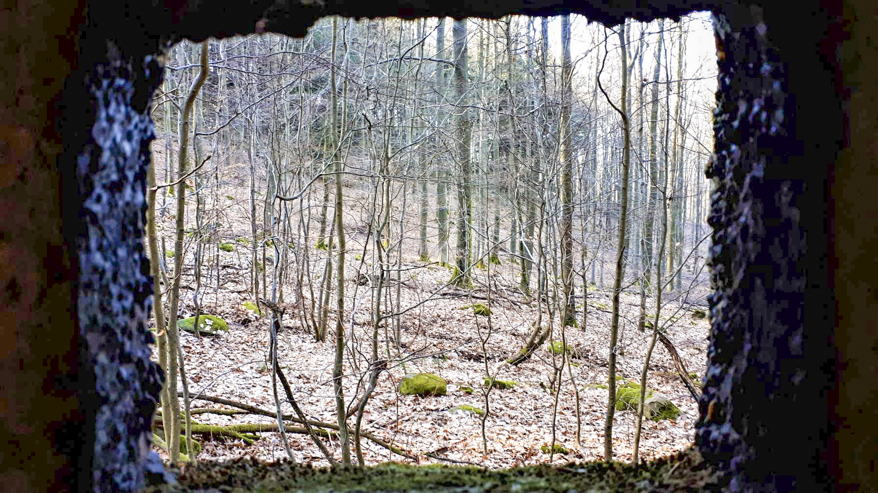 Ligne Maginot - PFAFFENBRONN 5 - (Blockhaus pour arme infanterie) - Vue depuis le créneau latéral