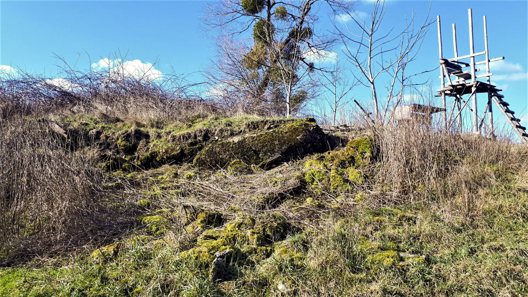 Ligne Maginot - SCHMELZBACH 8 - (Blockhaus de type indéterminé) - 