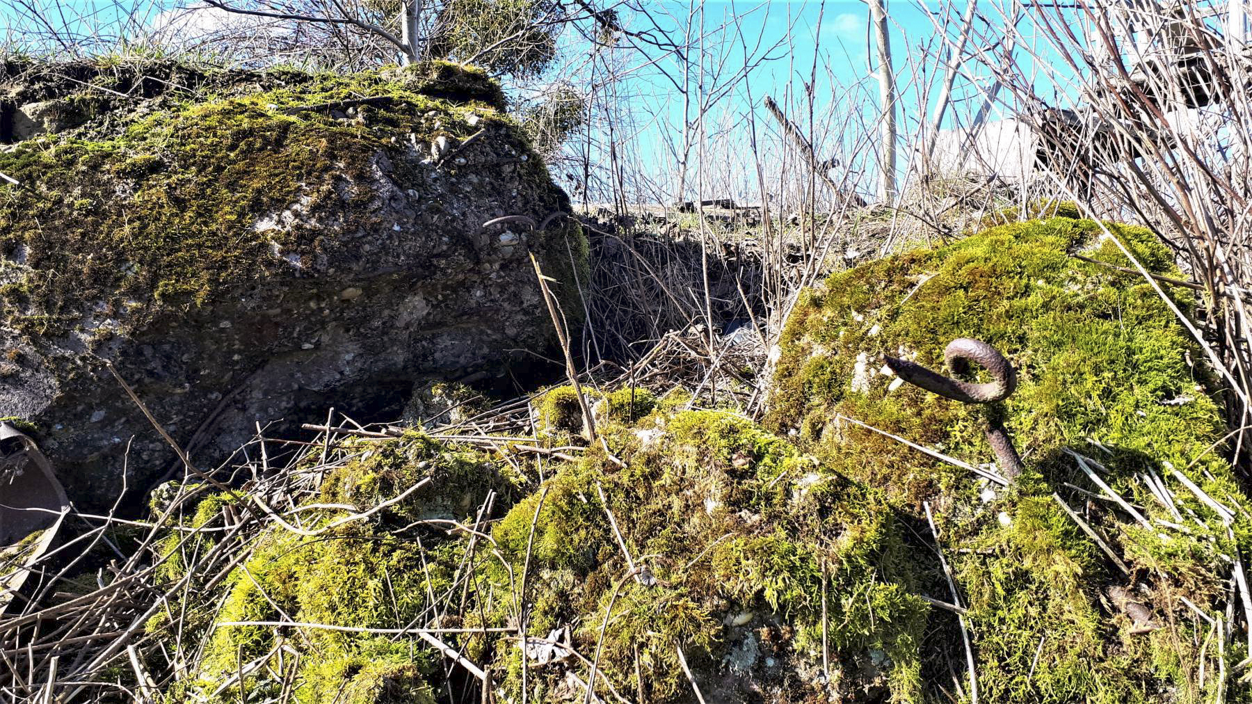 Ligne Maginot - SCHMELZBACH 8 - (Blockhaus de type indéterminé) - 