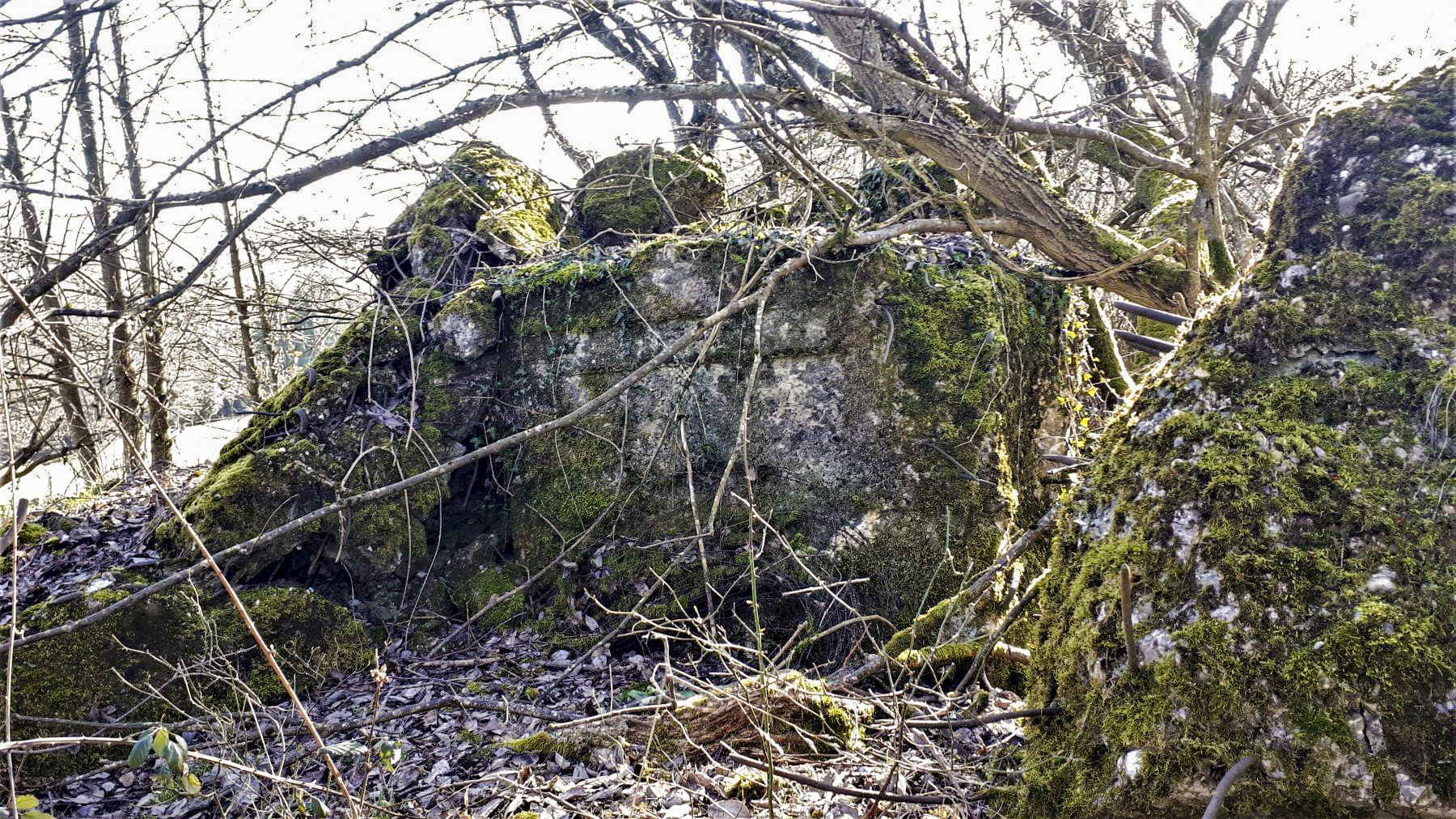 Ligne Maginot - SCHMELZBACH 9 - (Blockhaus de type indéterminé) - 